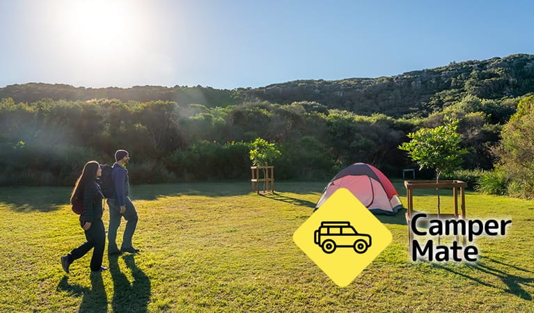 Activiteiten in de omgeving van Tallow Beach Campground - Image 3