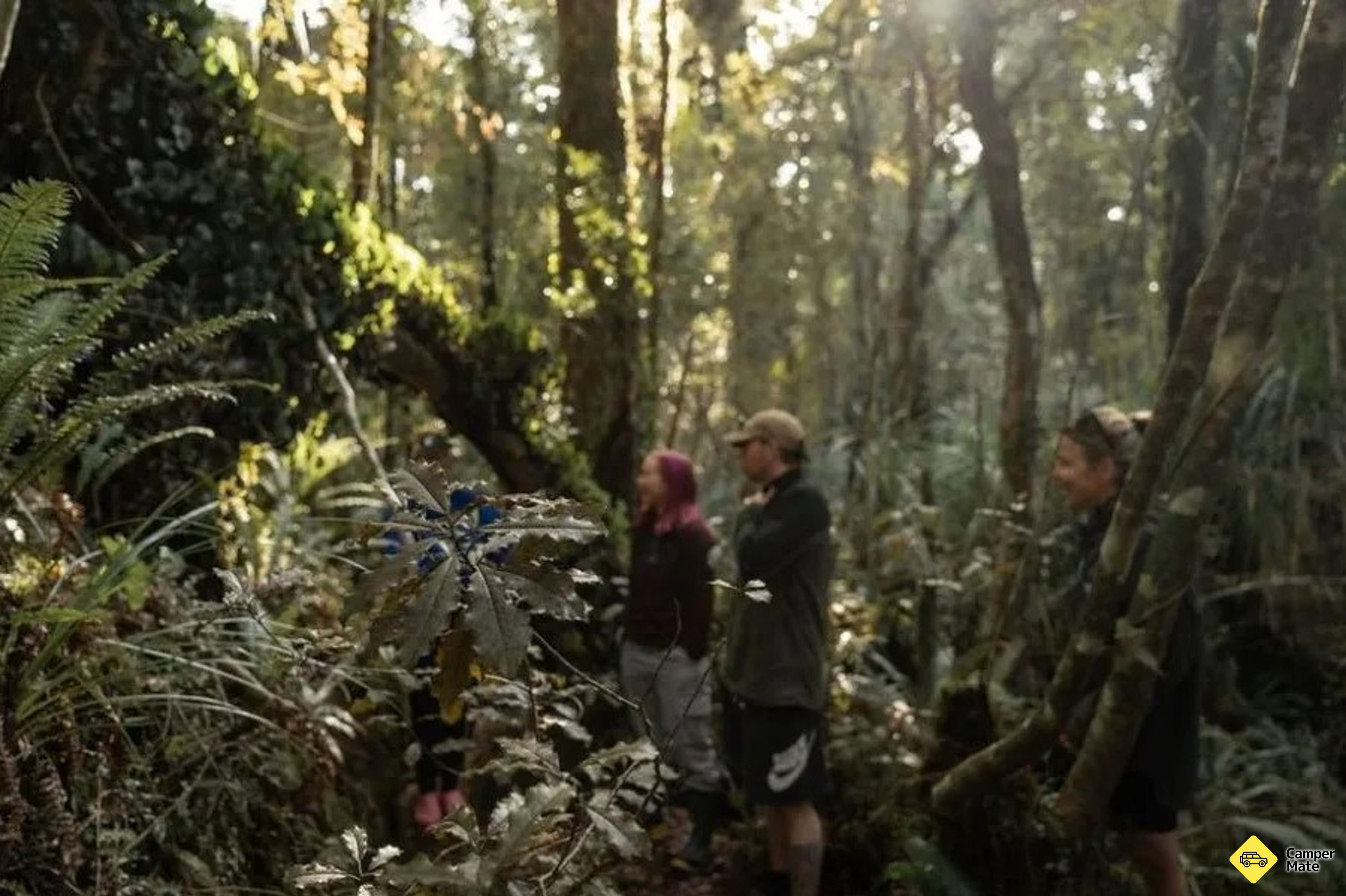 Franz Josef Kayaking Tour and Nature Walk - Image 2