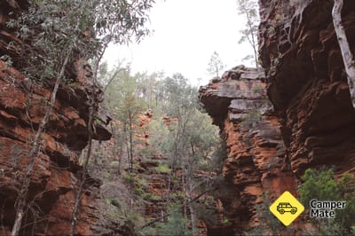 Alligator Gorge