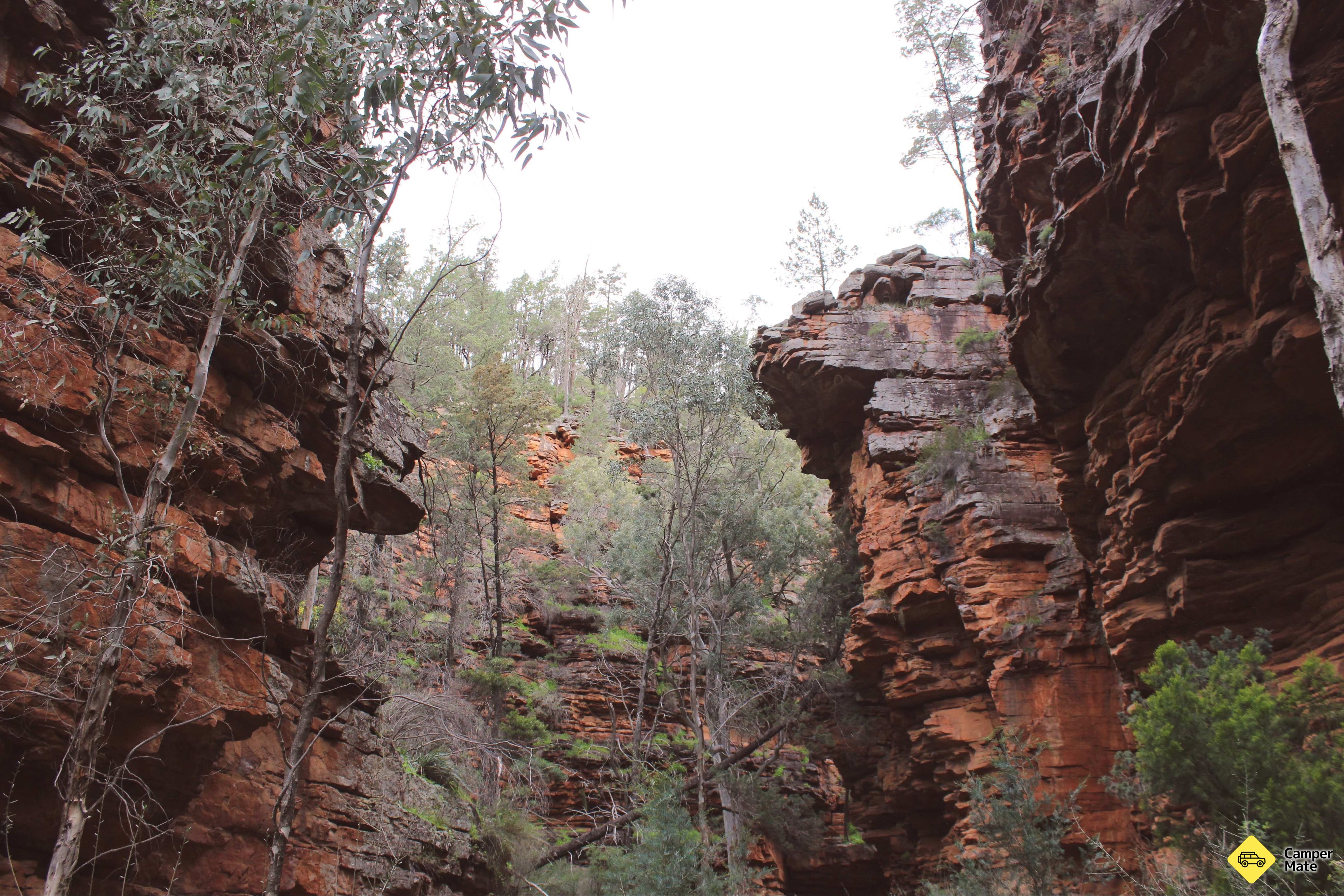 Alligator Gorge