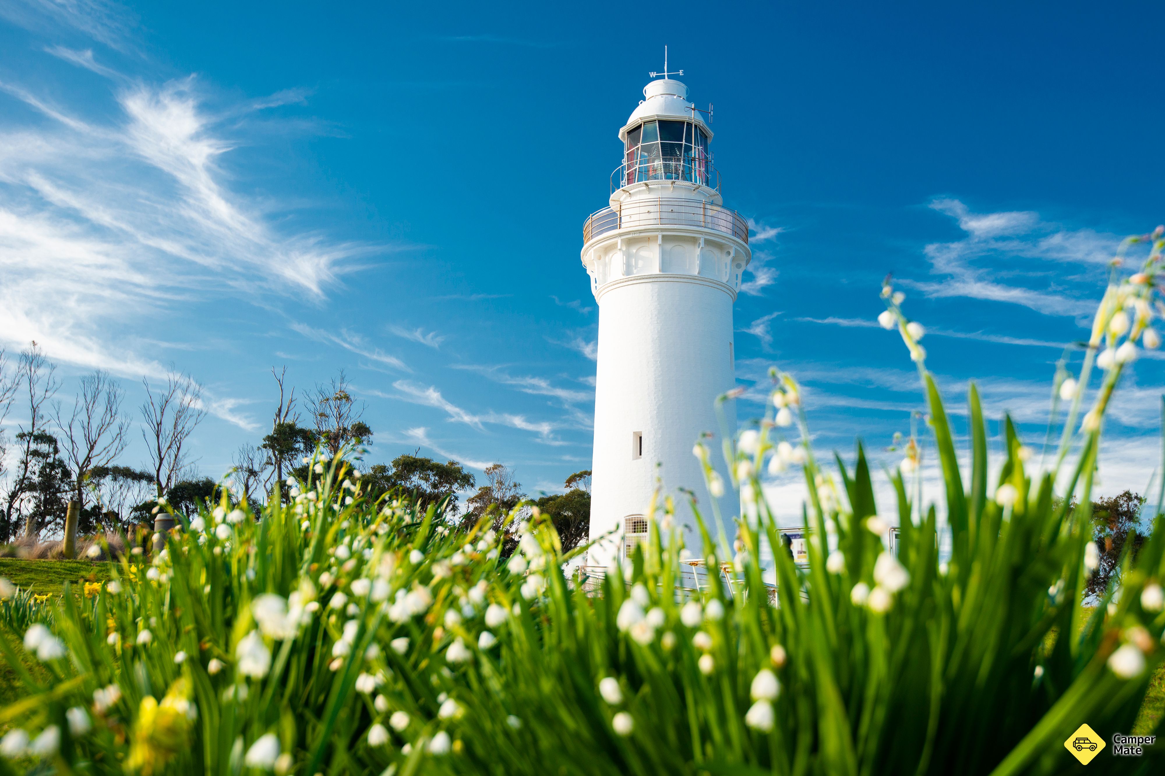 Стол Cape Lookout - Image 3