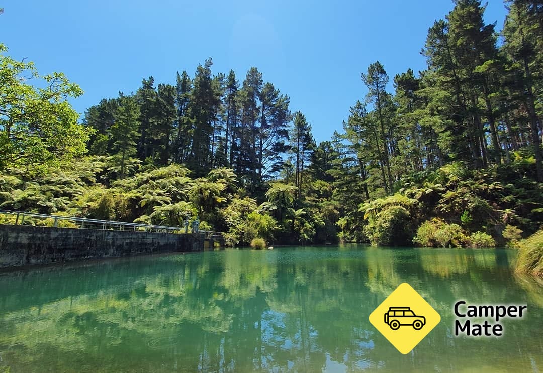 Waitahinga Trails