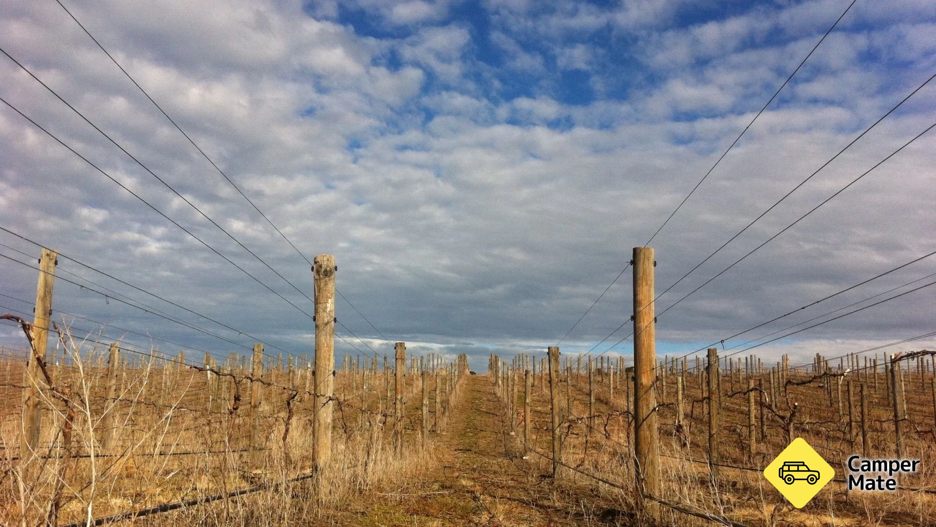 Georges Road Wines - Image 2