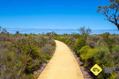 Nilgen Lookout and Wildflower Walk
