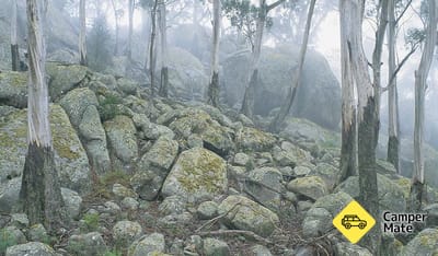 Waratah Gully Campground