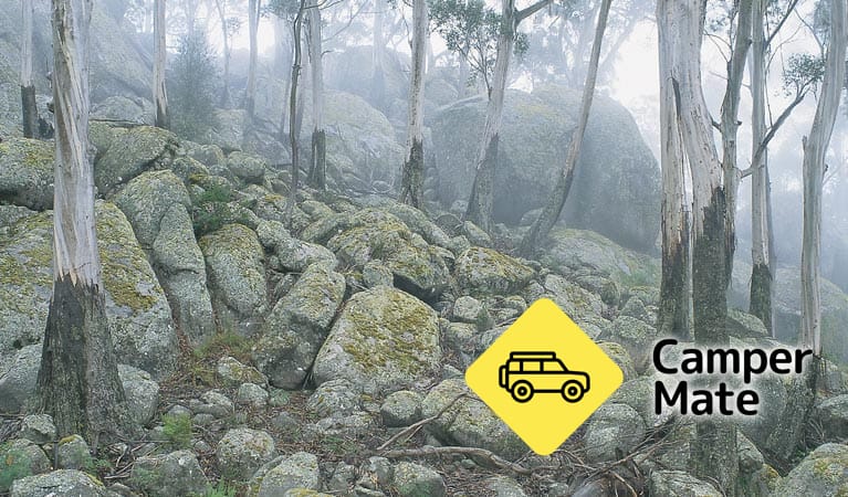 Waratah Gully Campground 근처 오락거리