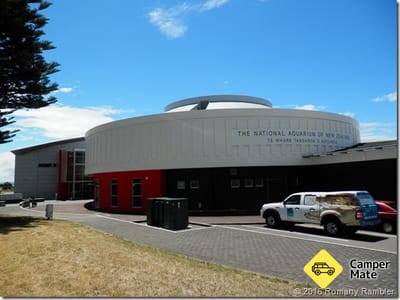 National Aquarium of New Zealand Carpark