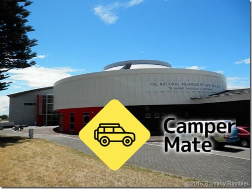National Aquarium of New Zealand Carpark
