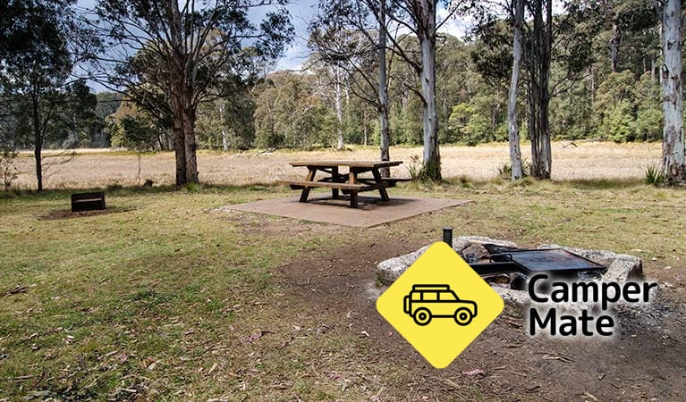New Country Swamp Campground - Image 3
