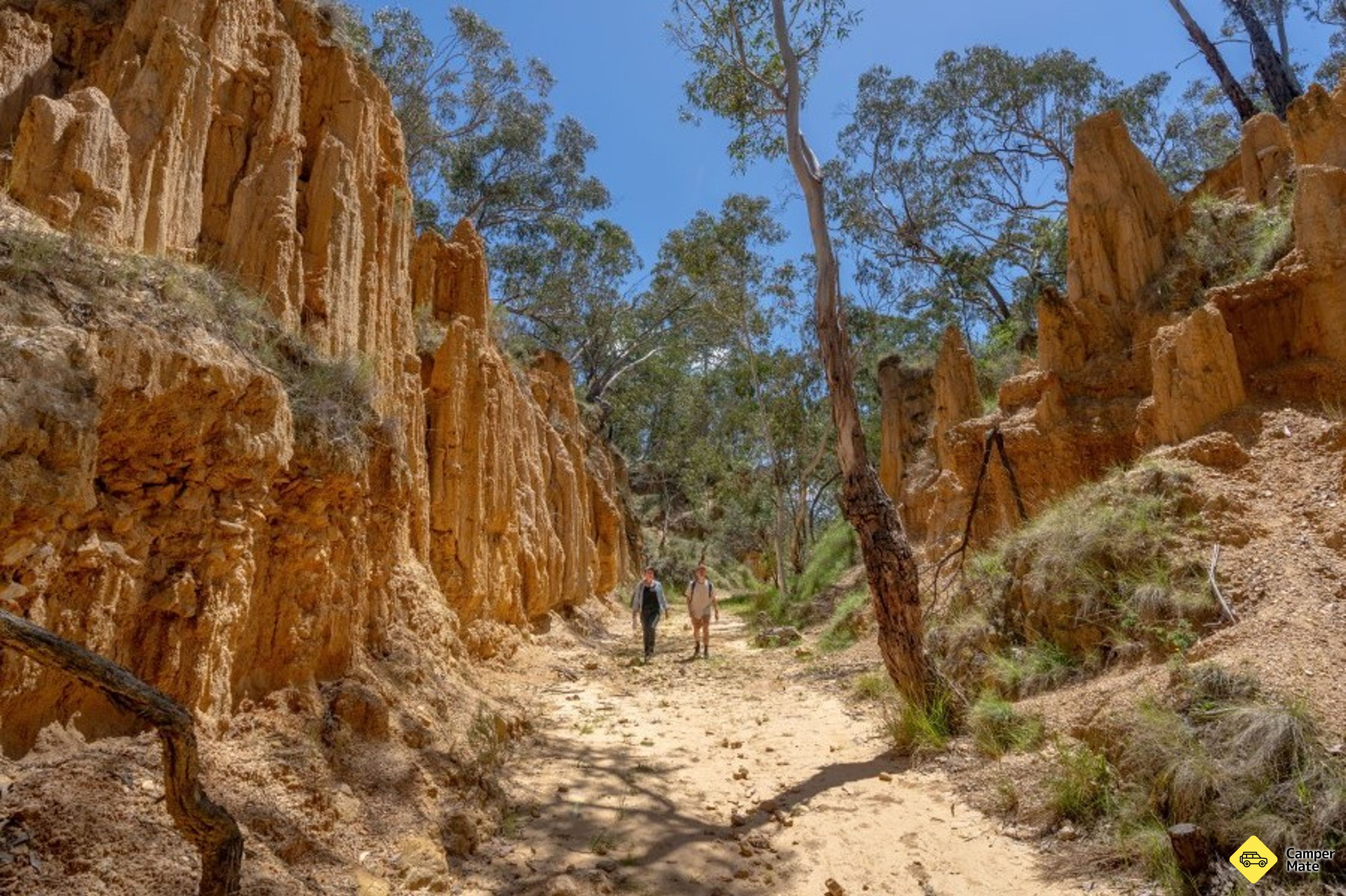 Golden Gully Walking Track - Image 3