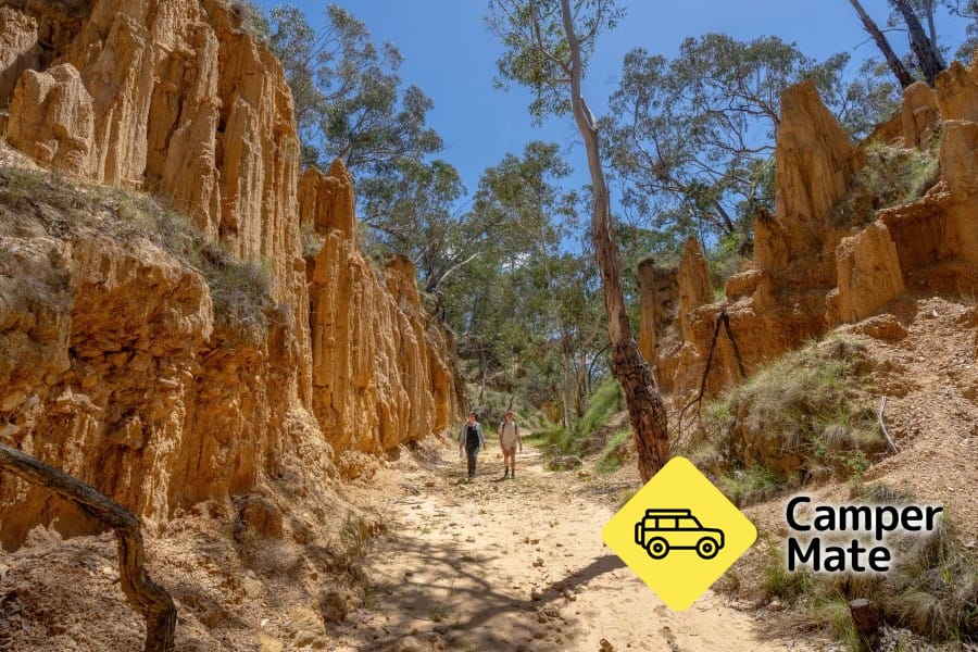 Golden Gully Walking Track - Image 3
