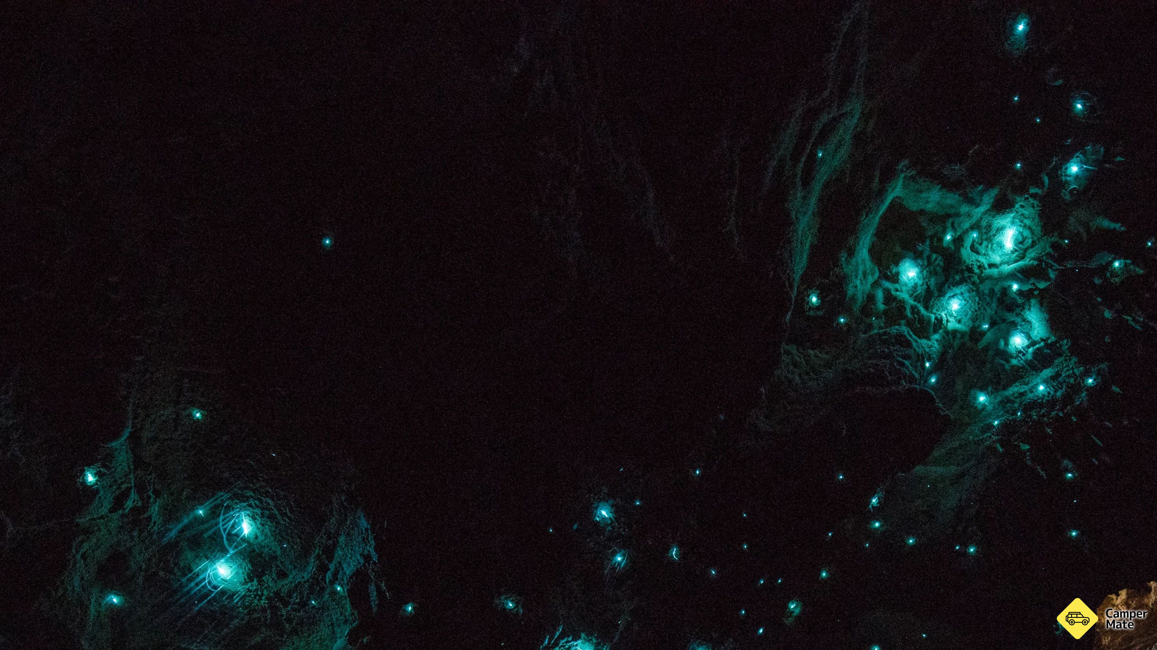Następca Woodstock Glow Worm Dell