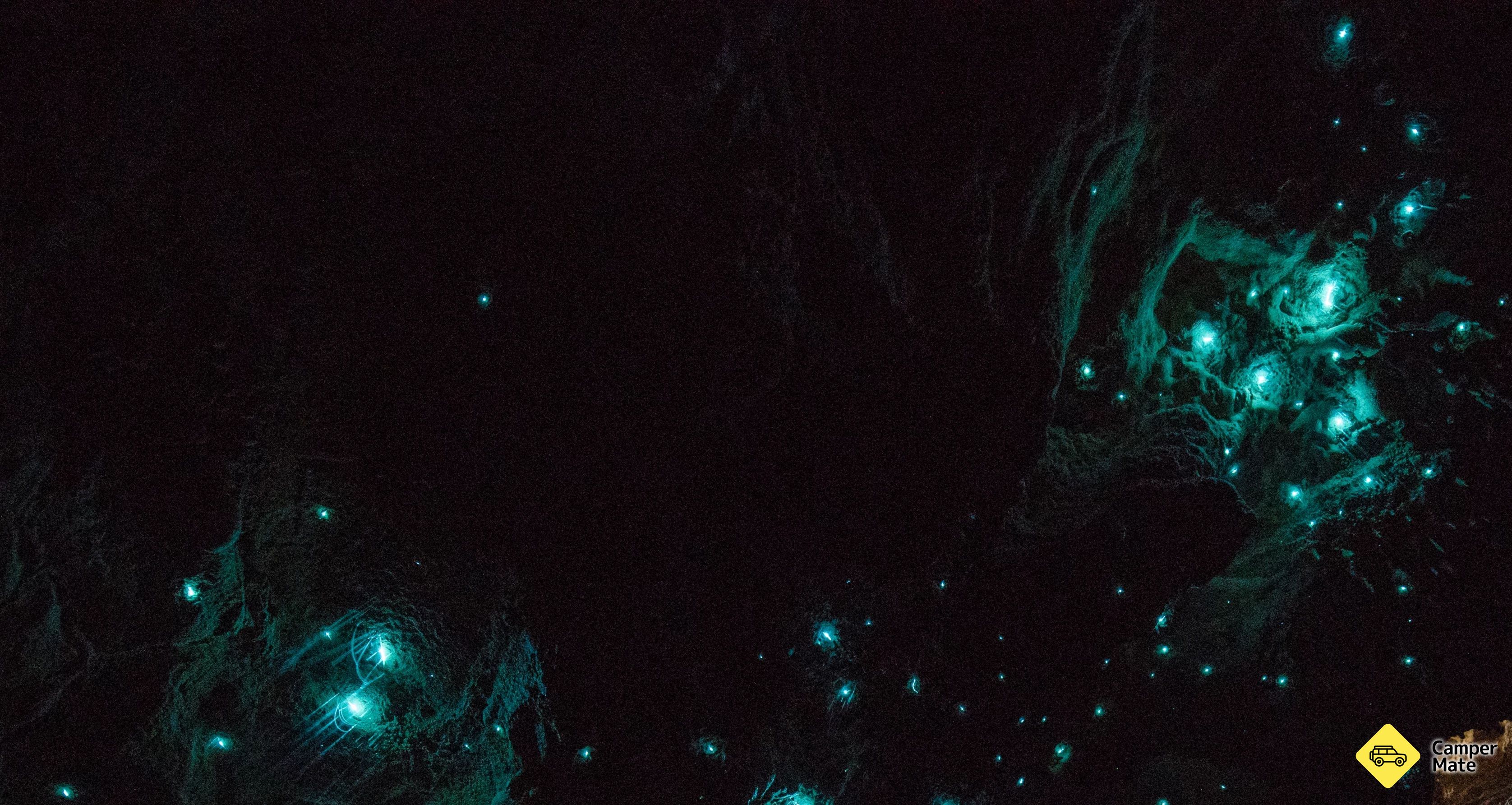 Woodstock Glow Worm von Dell