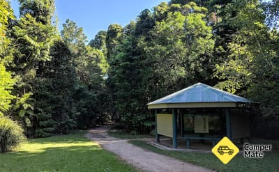 Lacey Creek Rainforest Walk