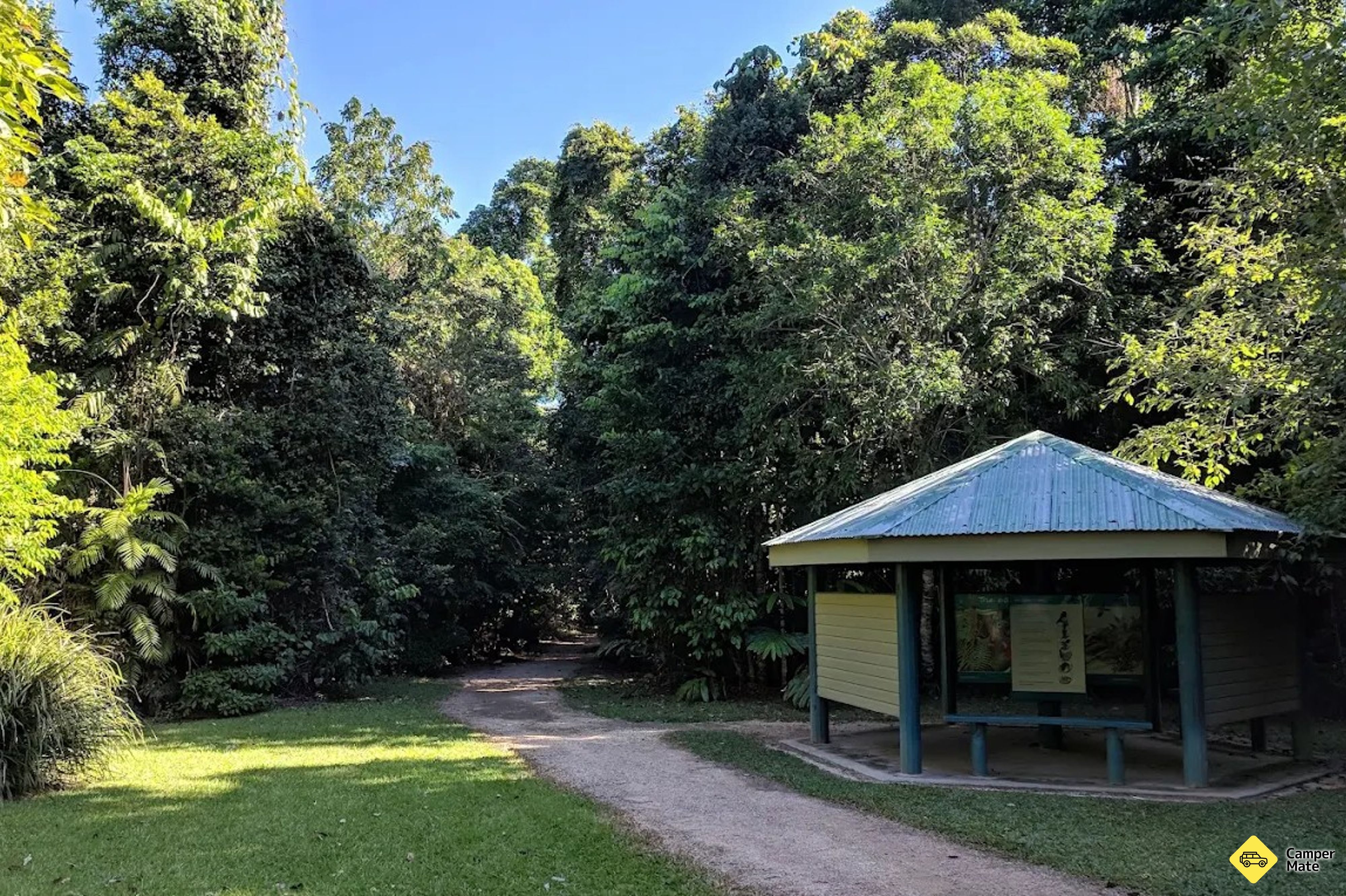 Lacey Creek Rainforest Walk