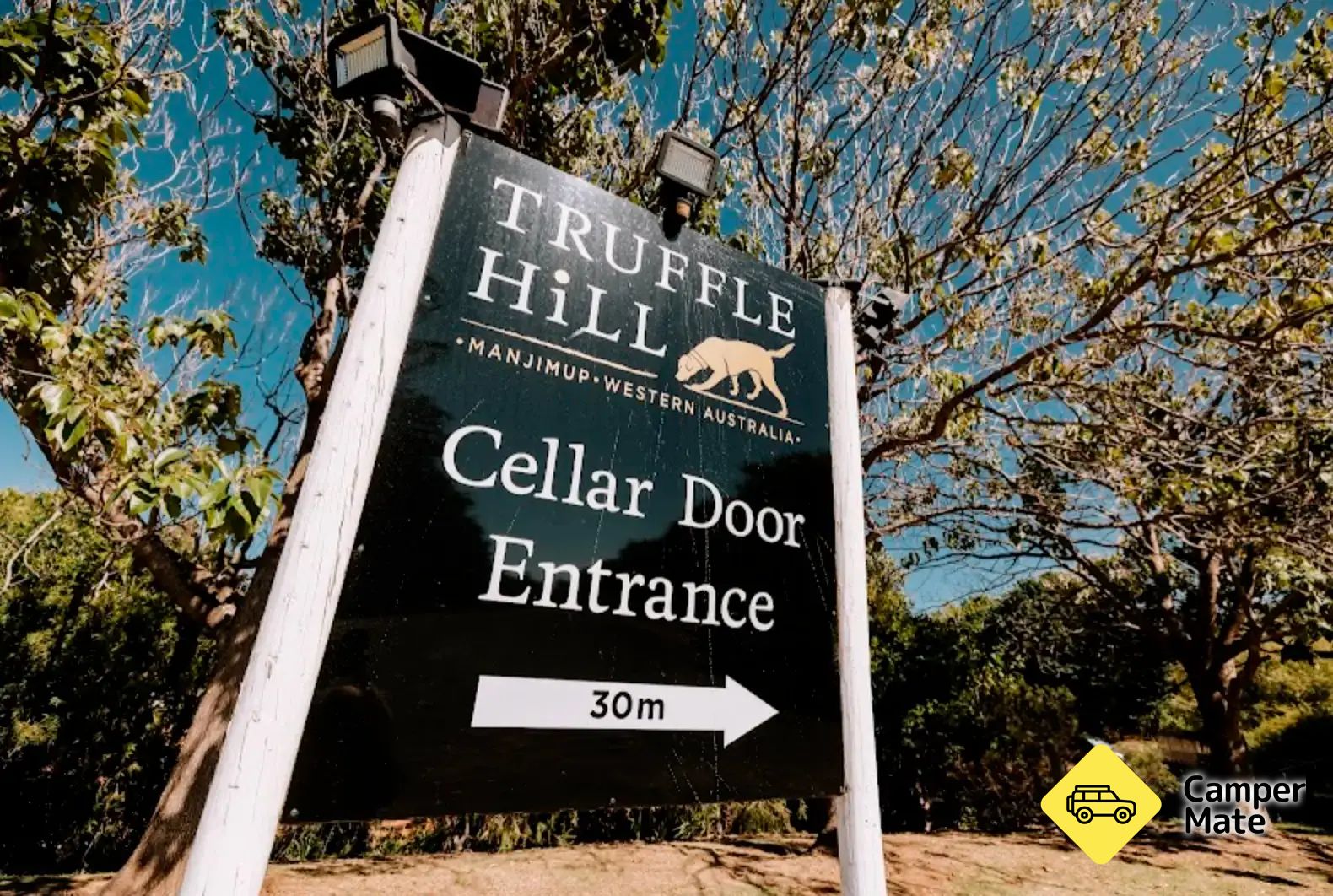 Truffle Experience with Truffle Hill - Image 2