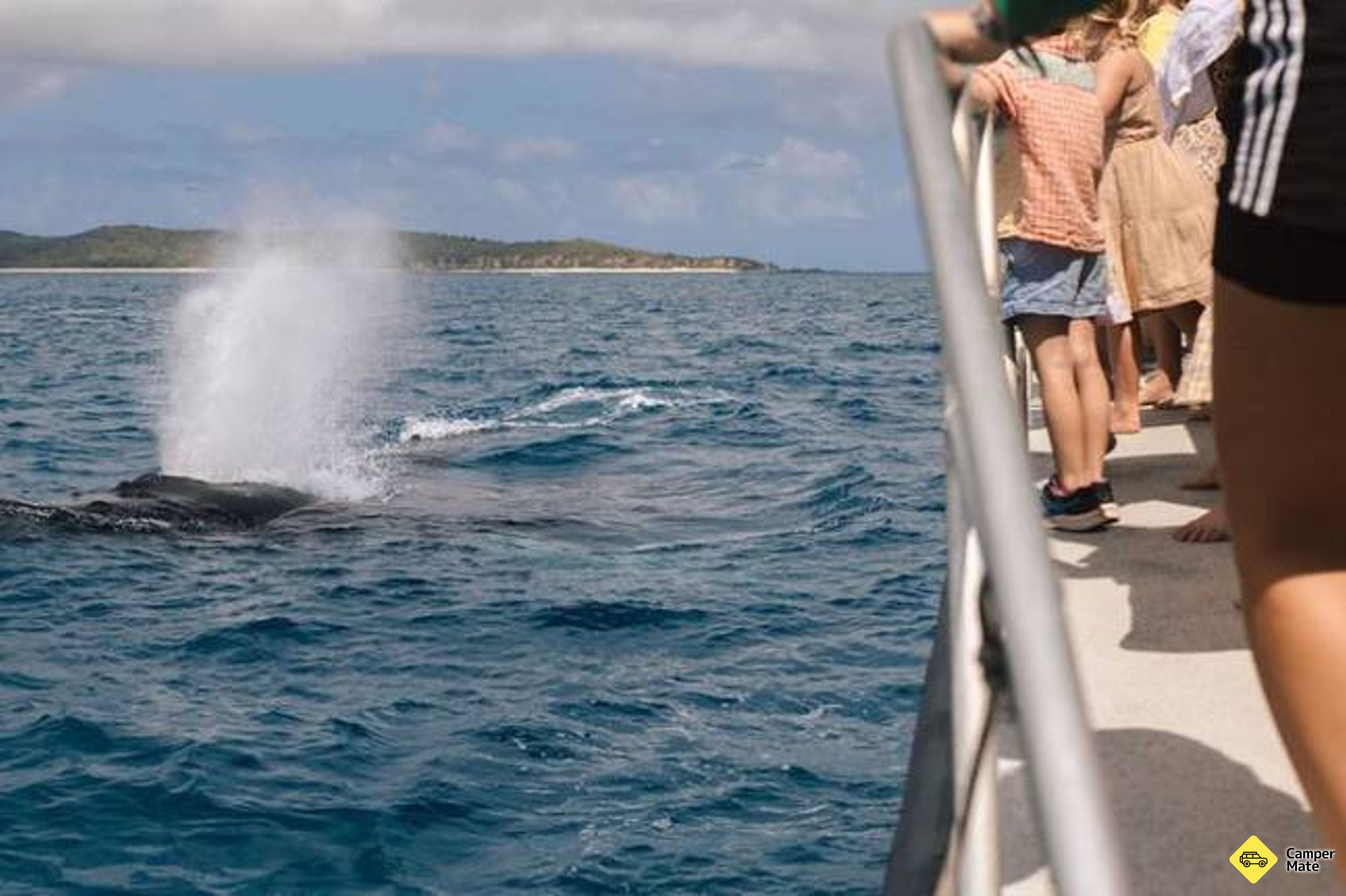 Keppel Island Whale Watching Cruise yakınındaki oteller - Image 2