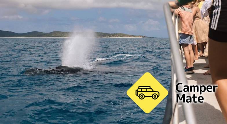 Keppel Island Whale Watching Cruise yakınındaki oteller - Image 2