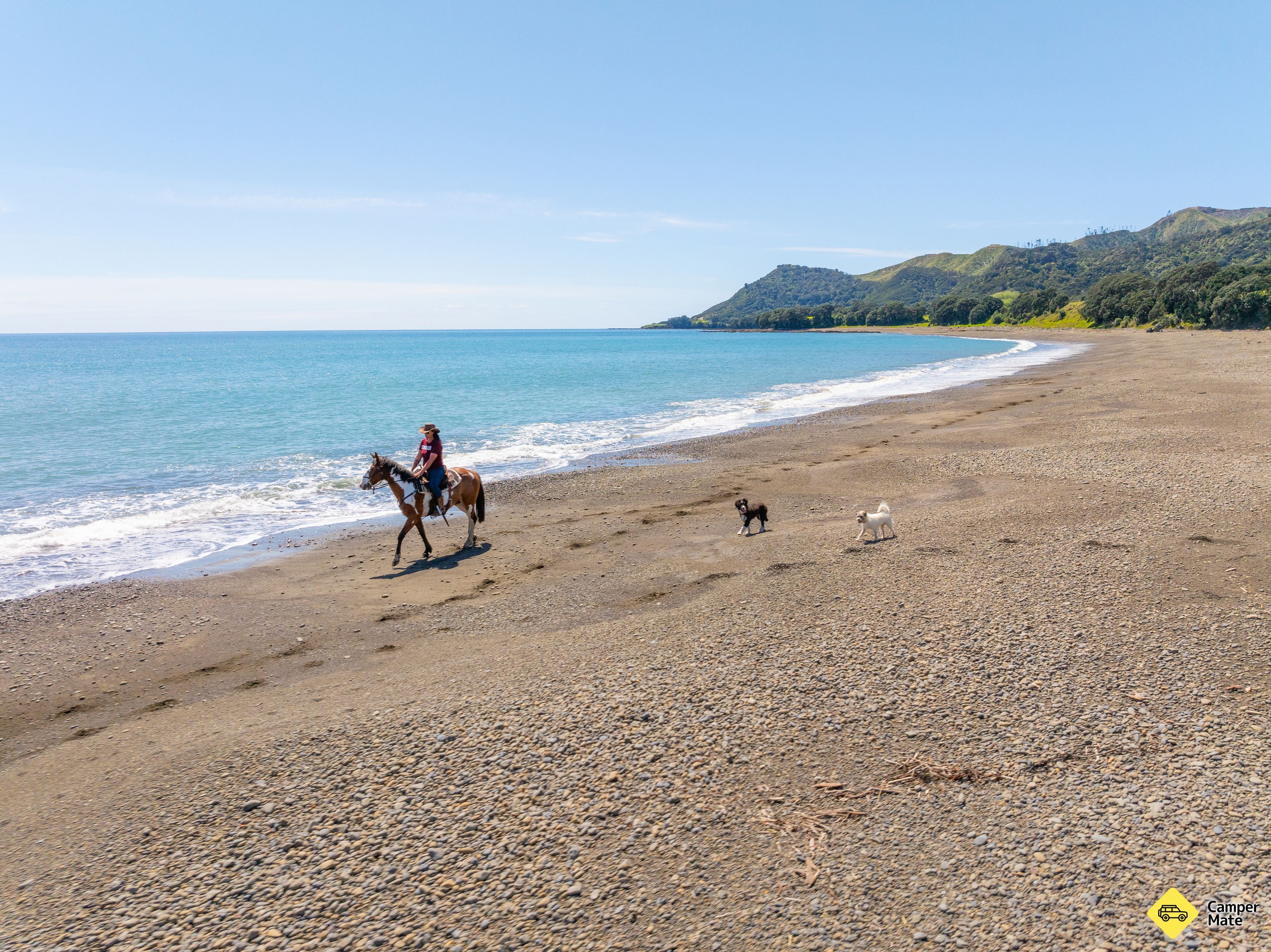 Te Kaha Standfast Horse Treks - Image 3