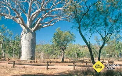 Campeggio di Bullita Homestead