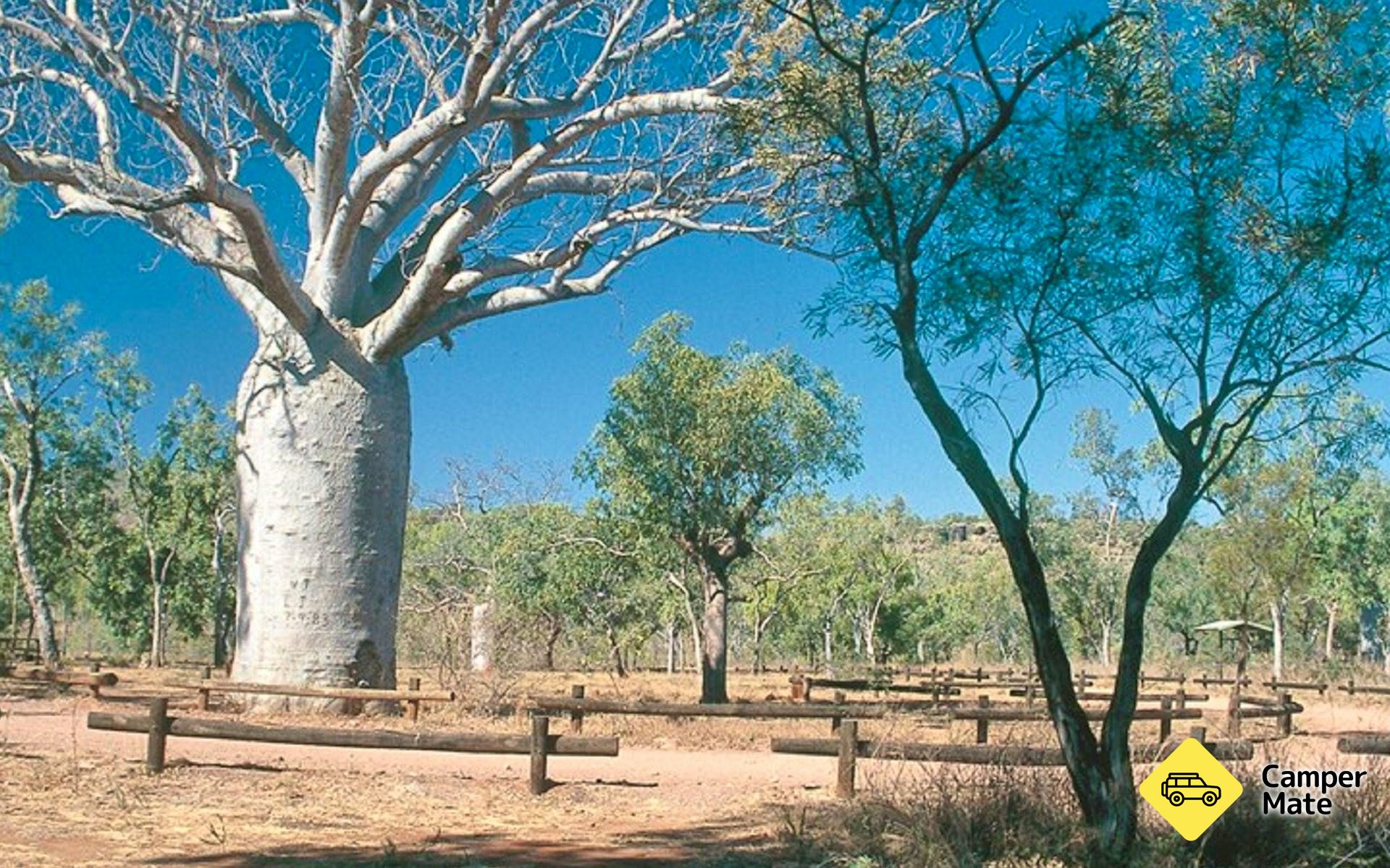 Campeggio di Bullita Homestead
