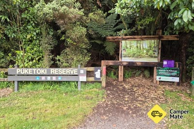 Puketoki Scenic Reserve 