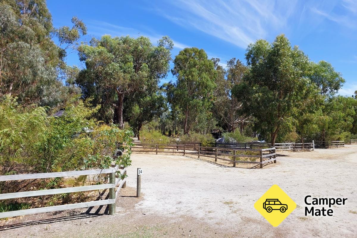 Henry White Oval Campground - Image 3