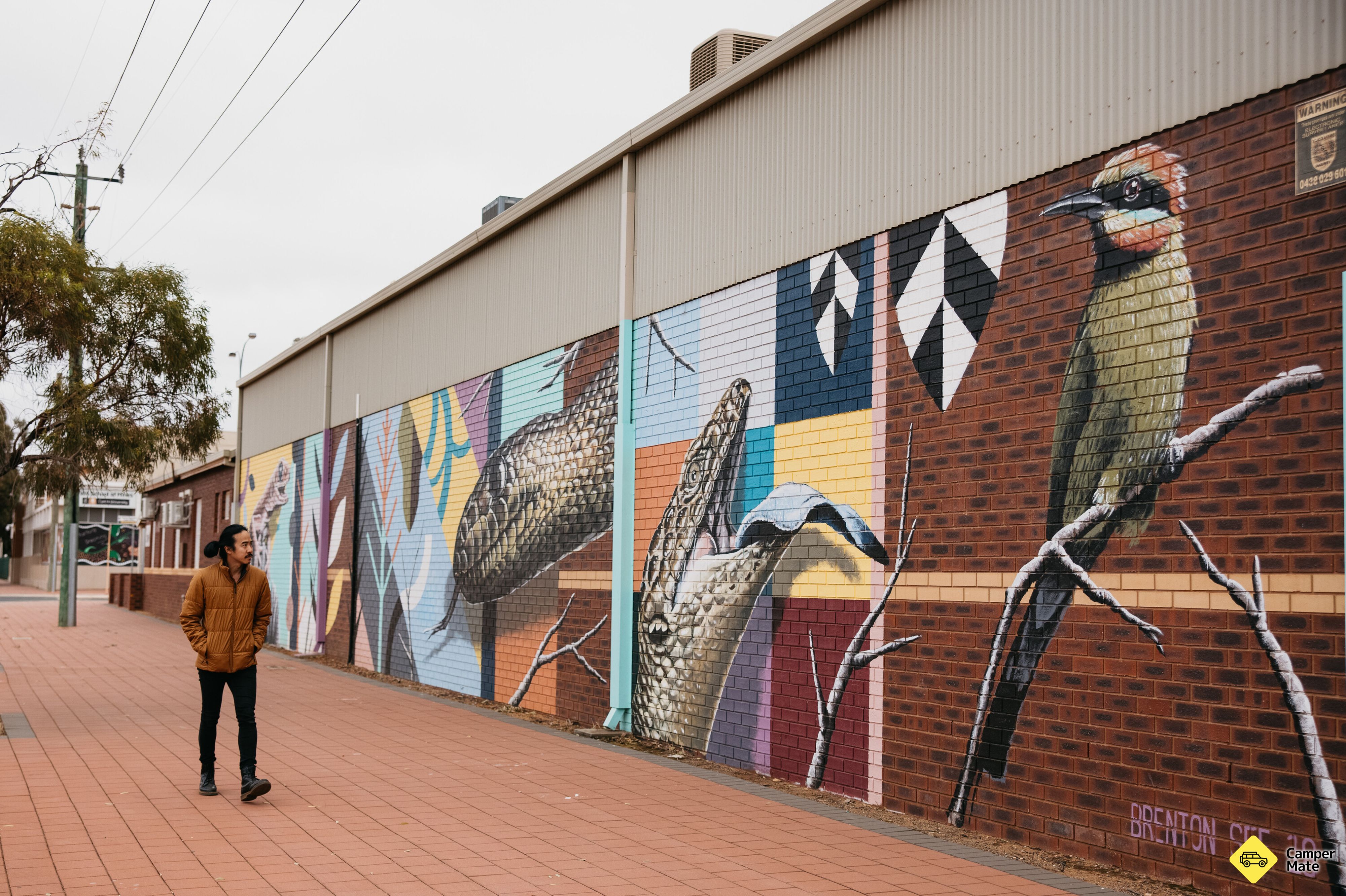 Heartwalk Art i Kalgoorlie - Image 3