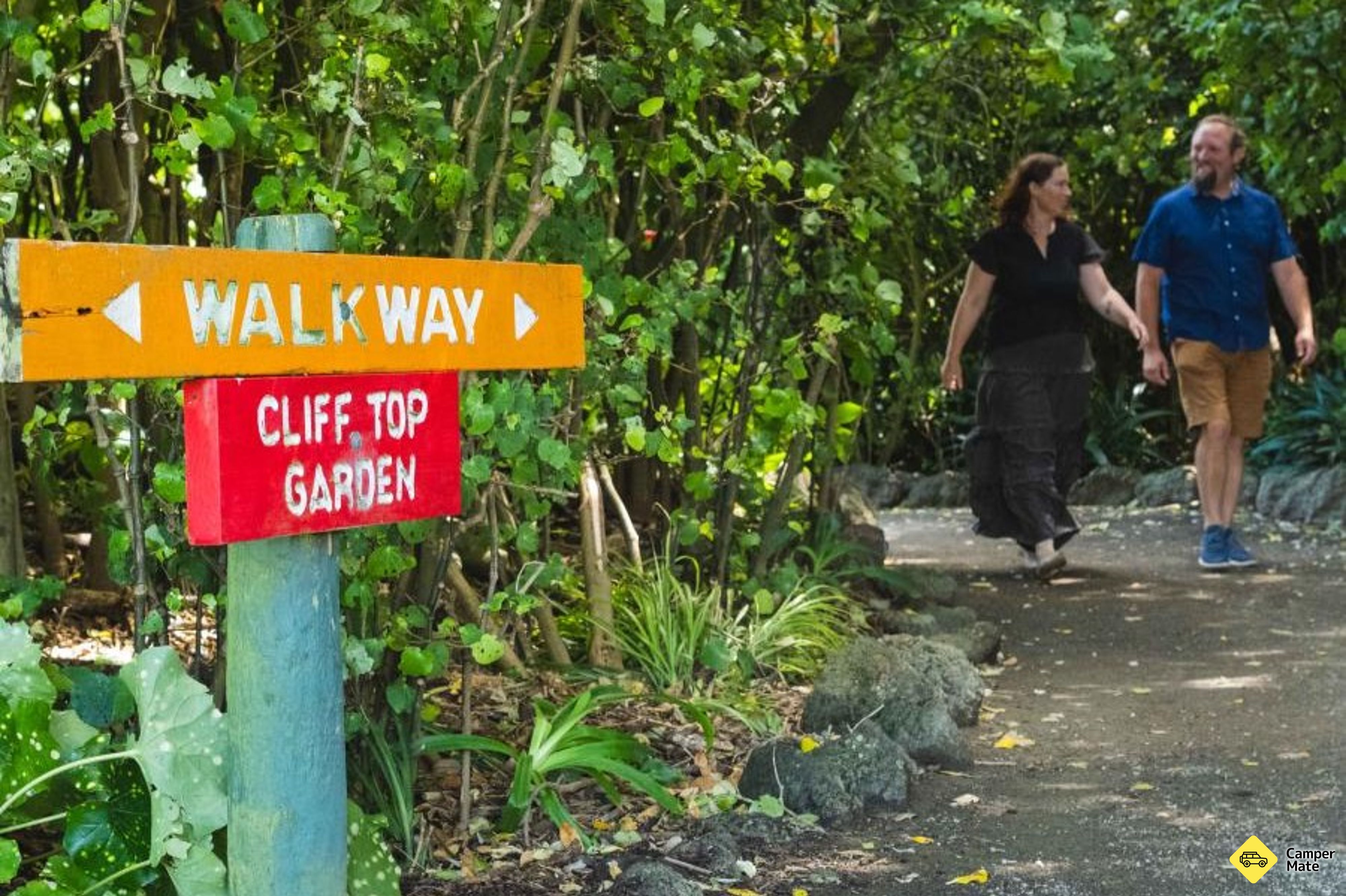 Opunake Loop Trail - Image 2
