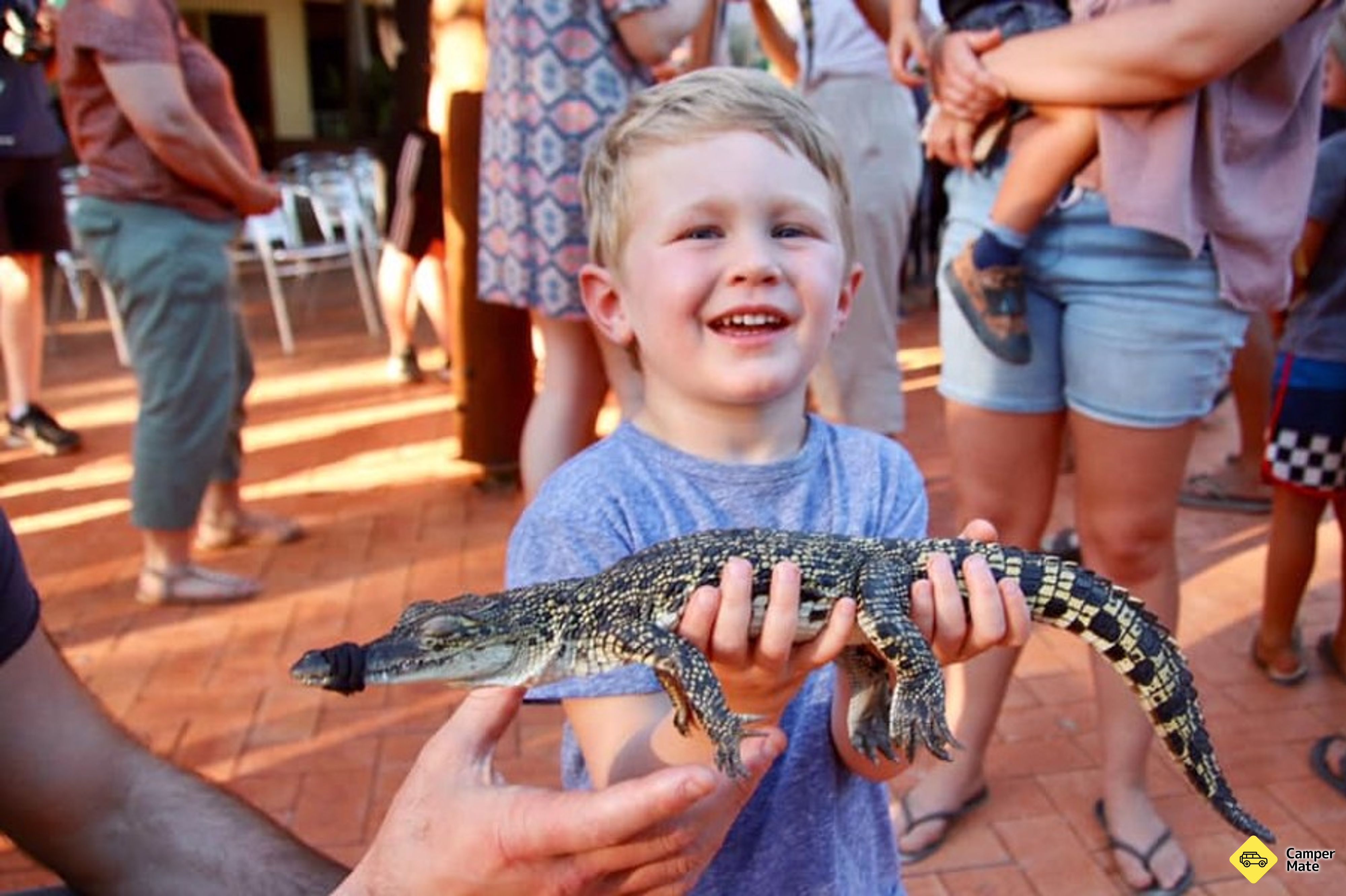 Malcolm Douglas Crocodile Park के बारे में राय - Image 3