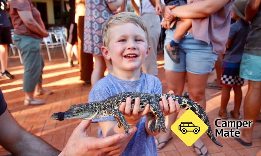 Malcolm Douglas Crocodile Park - Image 3