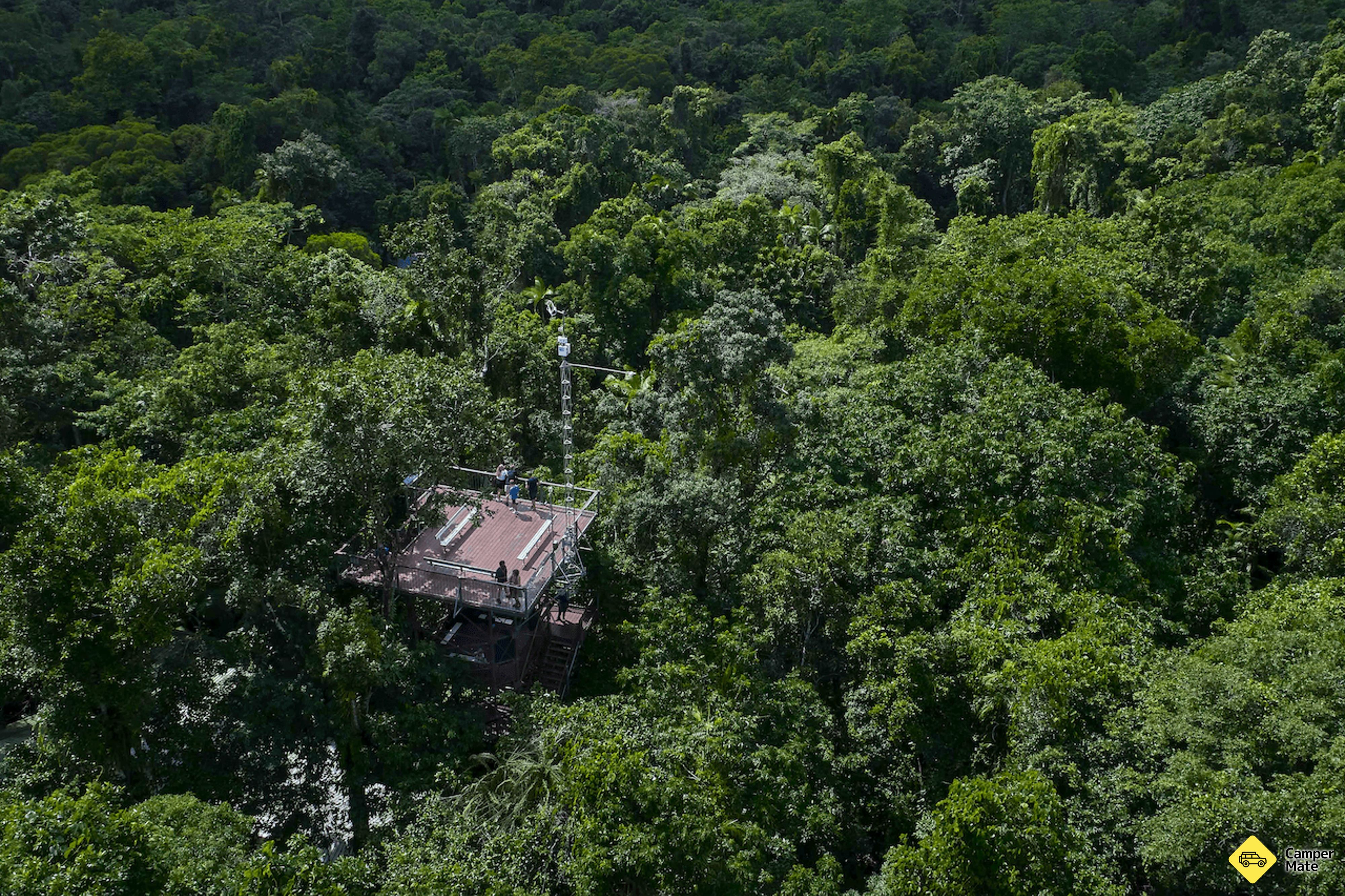 Das Daintree Discovery Centre - Image 3