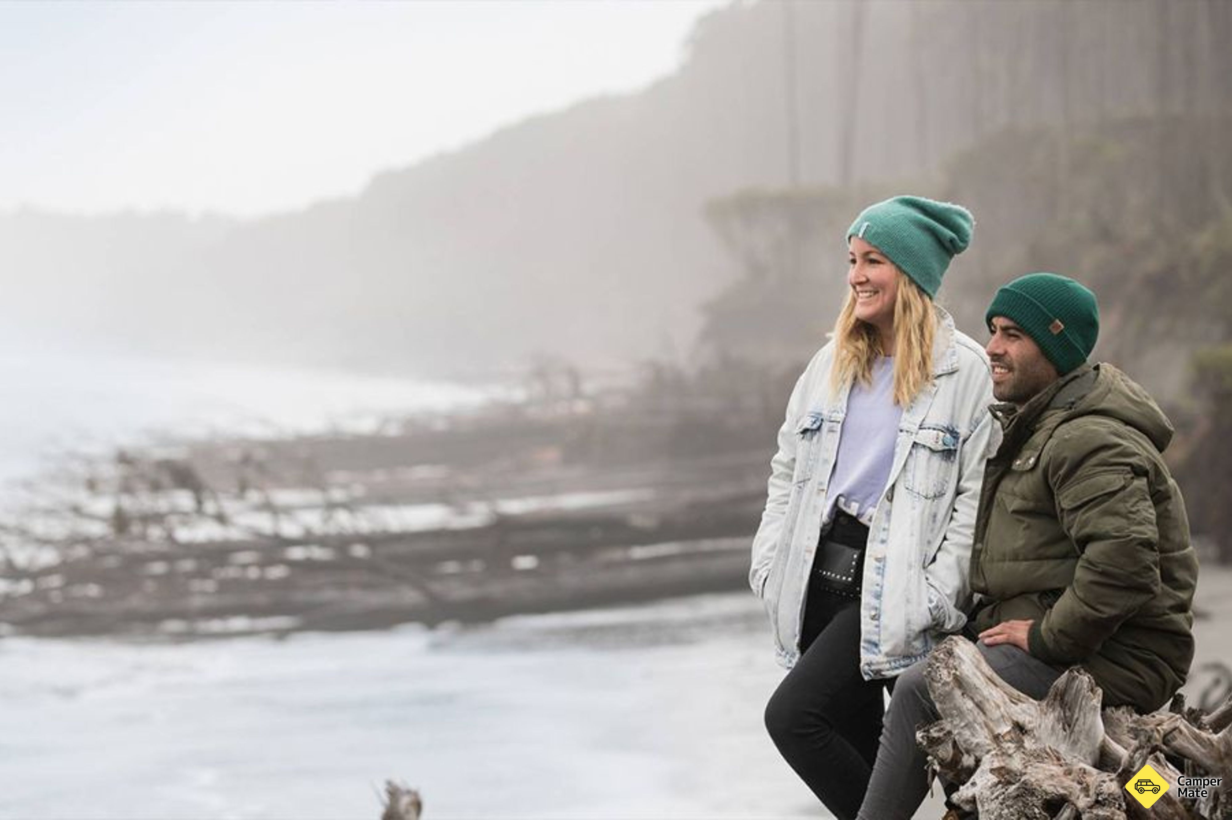קווינסטאון ל-Fox Glacier Tour - Image 2