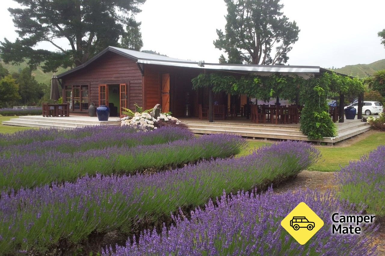 Lauren's Lavender Farm