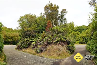 Mt Ngongotaha Jubilee Track to Fairy Springs