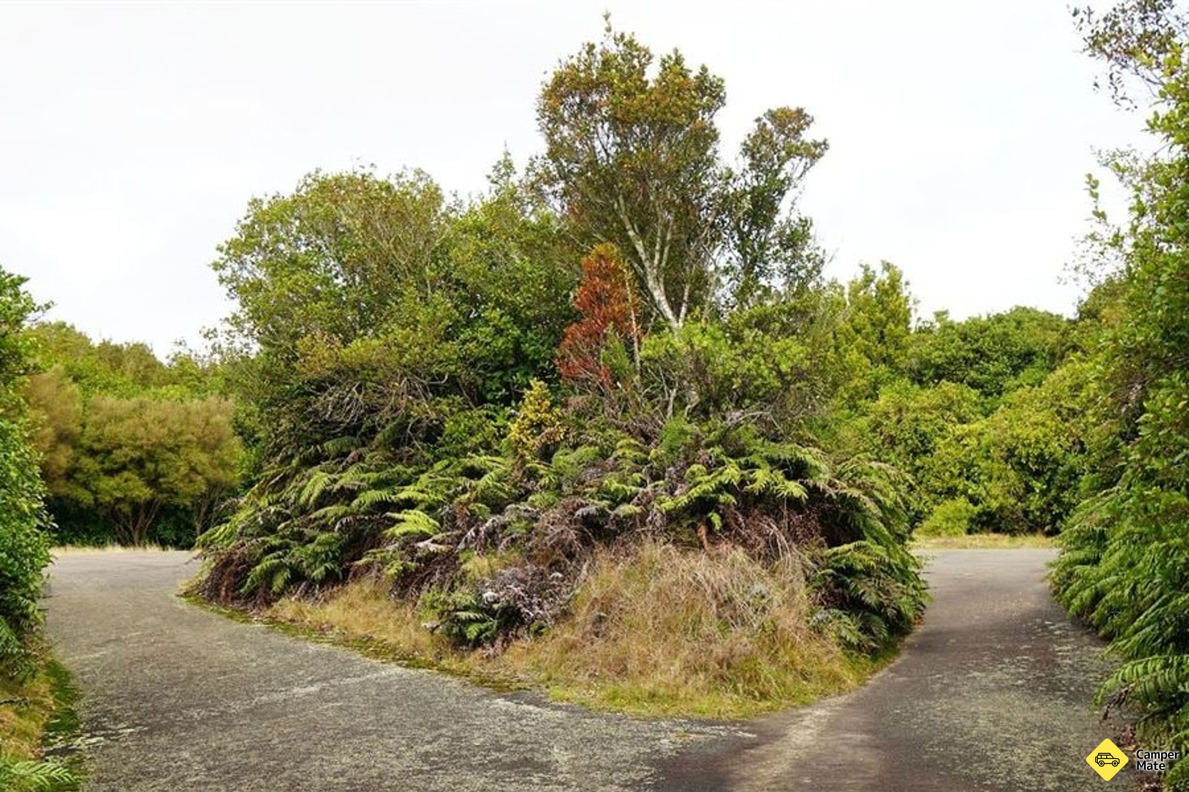 Mt Ngongotaha Jubilee Track to Fairy Springs