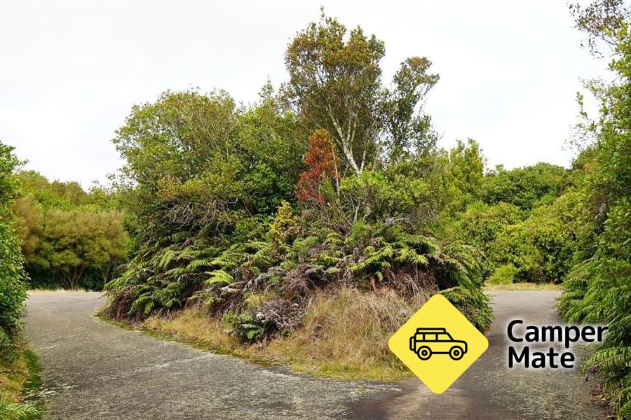 Monte Ngongotaha Jubilee Track para Fairy Springs