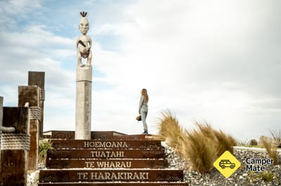 Paparoa Point