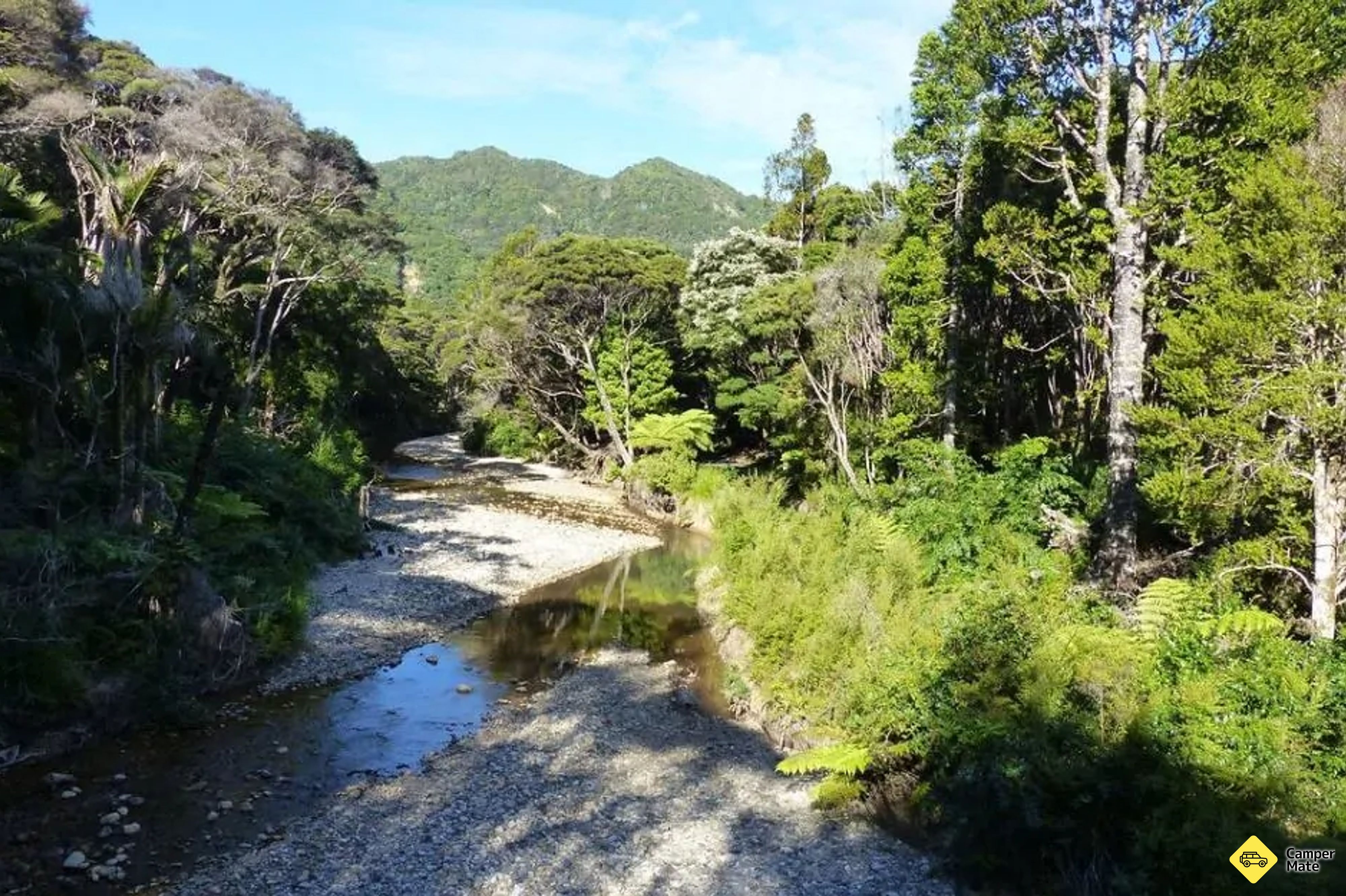 Kaiaraara Track - Image 2