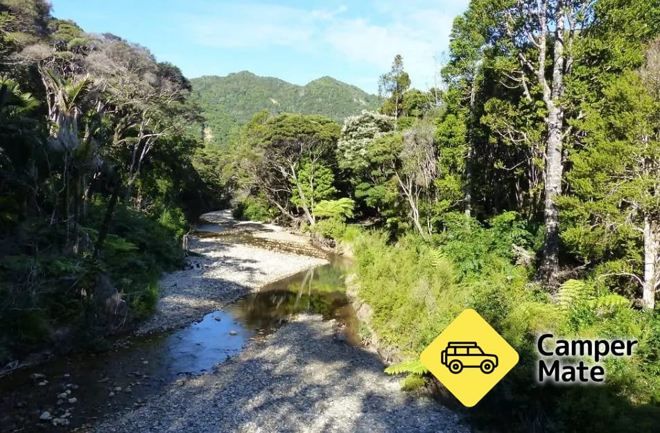 Kaiaraara Track - Image 2