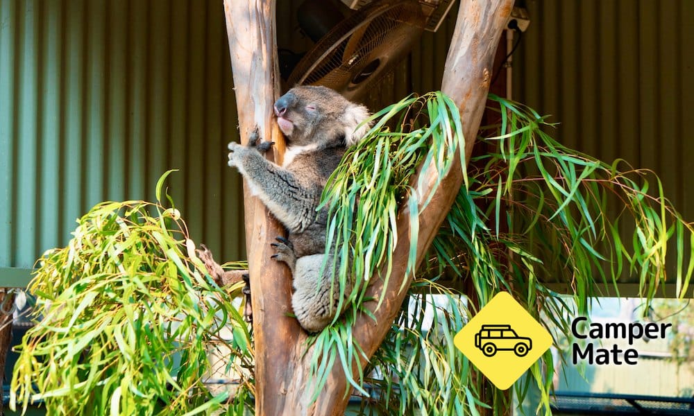 Featherdale Sydney Wildlife Park