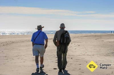 Waikanae Estuary Bird Tours