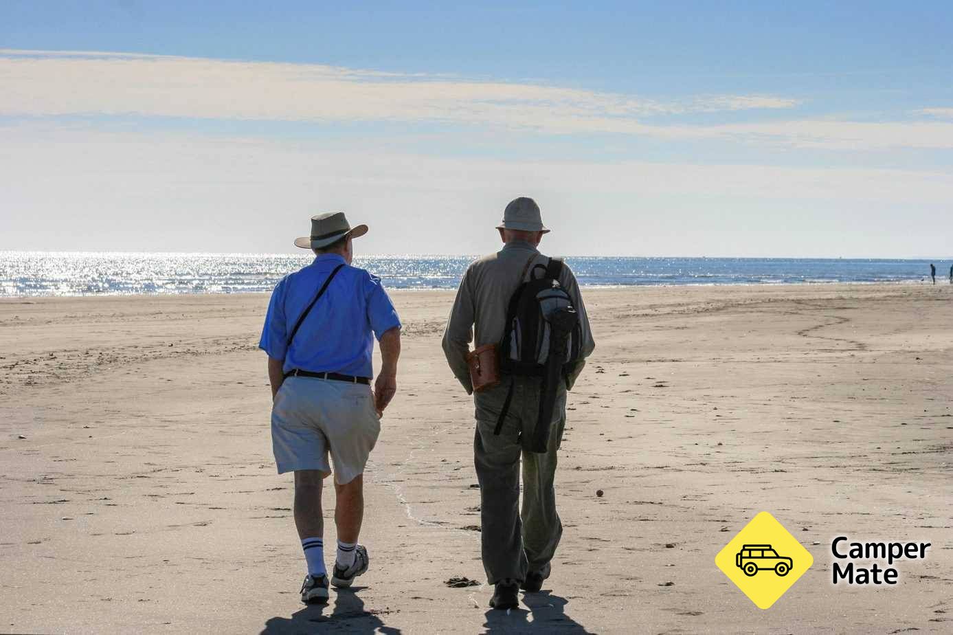 Waikanae Estuary Bird Tours