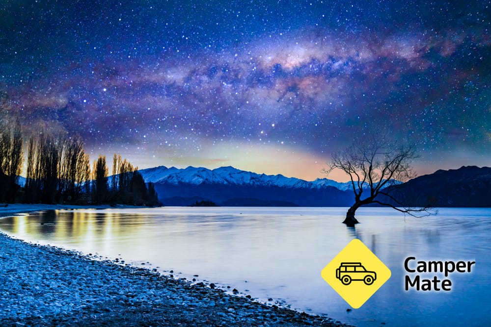 Pohon Wanaka itu - Image 2
