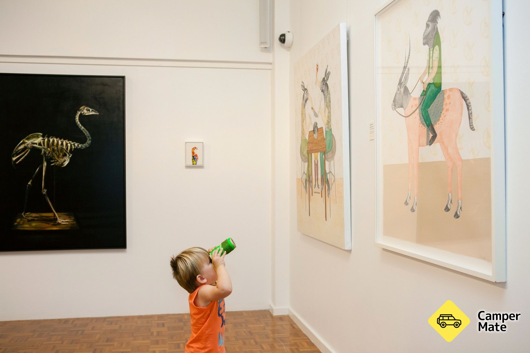 Noosa Regional Gallery - Image 3