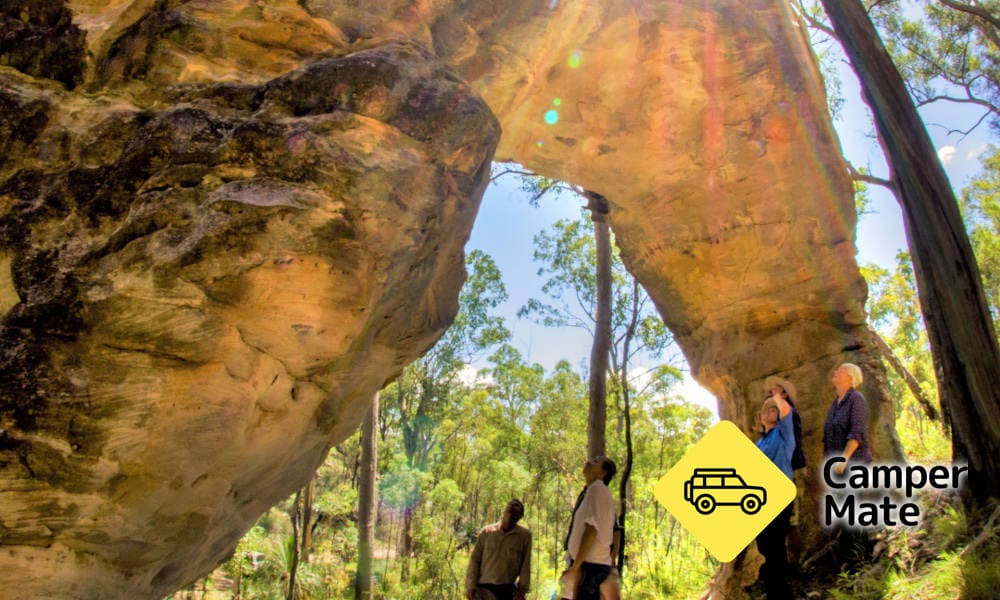 Carnarvon Gorge Tours - Image 2