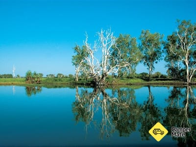 Yellow Water Billabong
