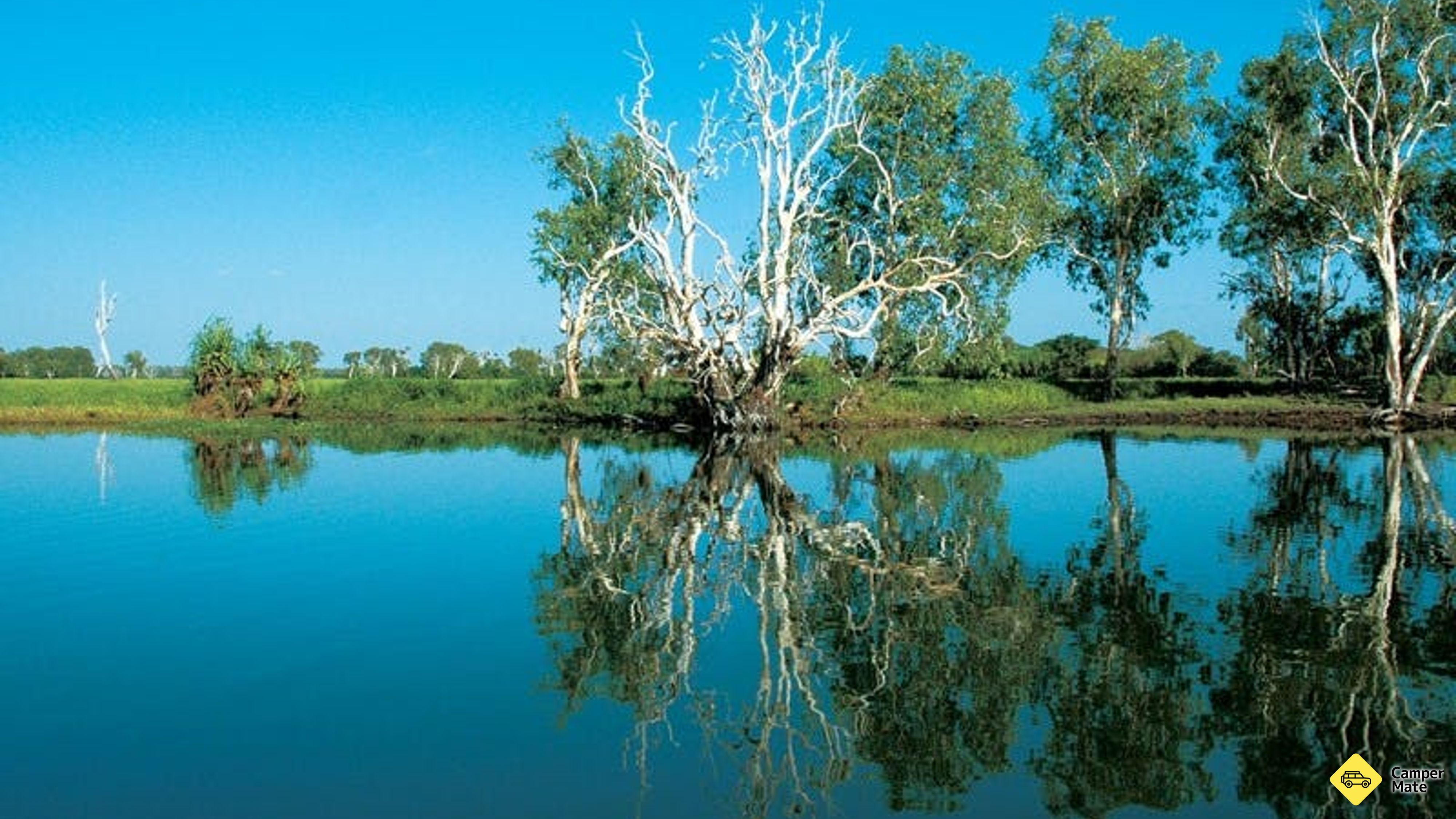 Yellow Water Billabong