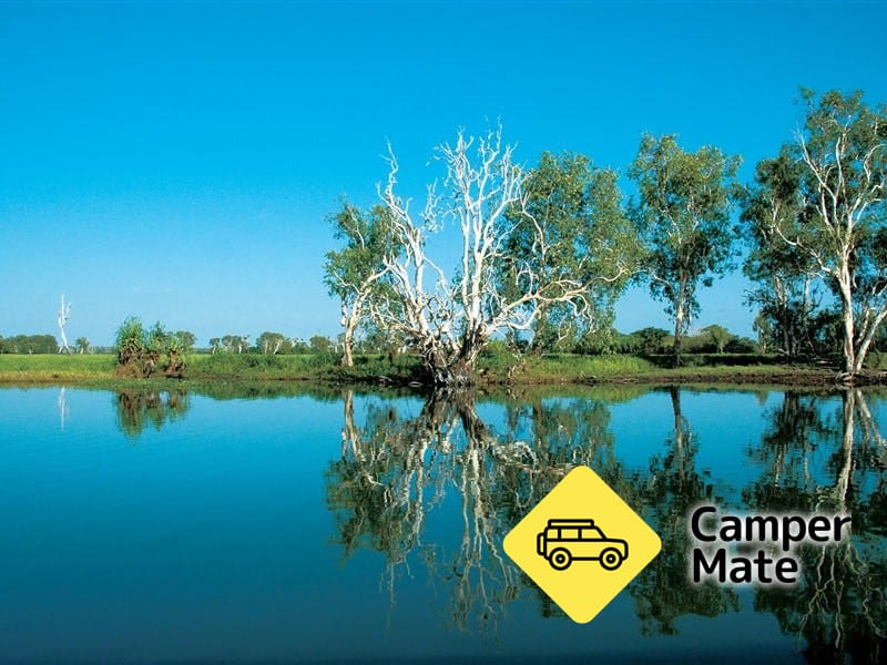 Yellow Water Billabong
