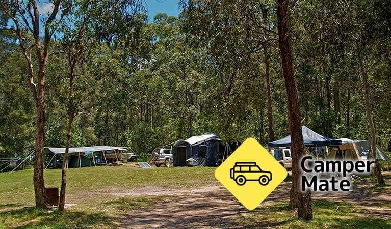 Korsmans Landing Campground - Image 3